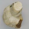 The rose of Afghanistan - Image 2