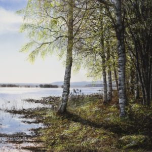 Spring light – Art-quality posters – 1250 SEK