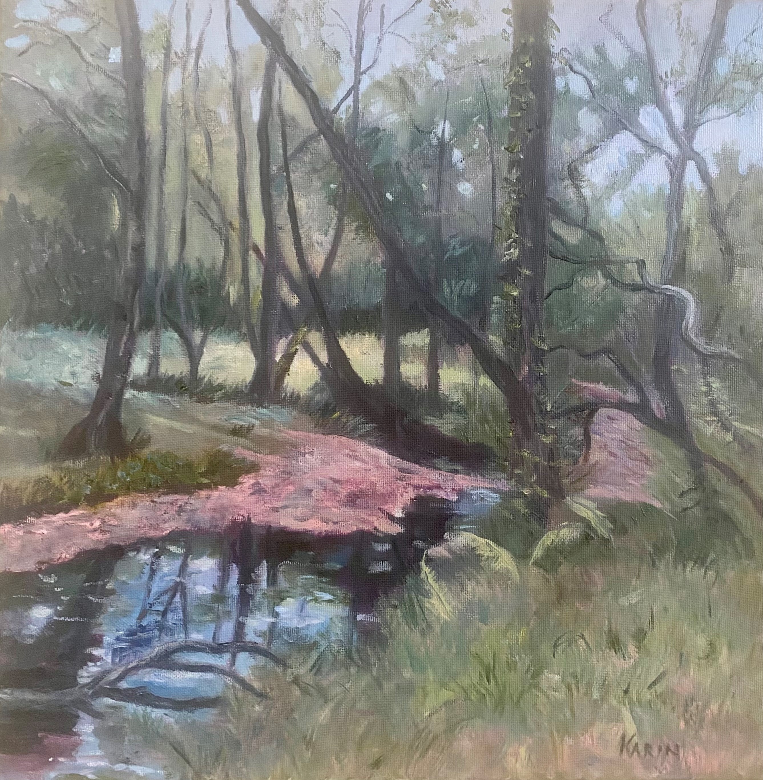 NEW FOREST STREAM