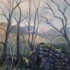 The old Drystone Wall