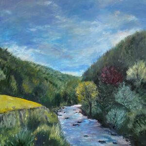 Along the East Lyn River