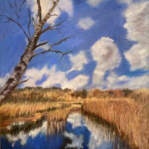 Golden Marshes on Brownsea Island